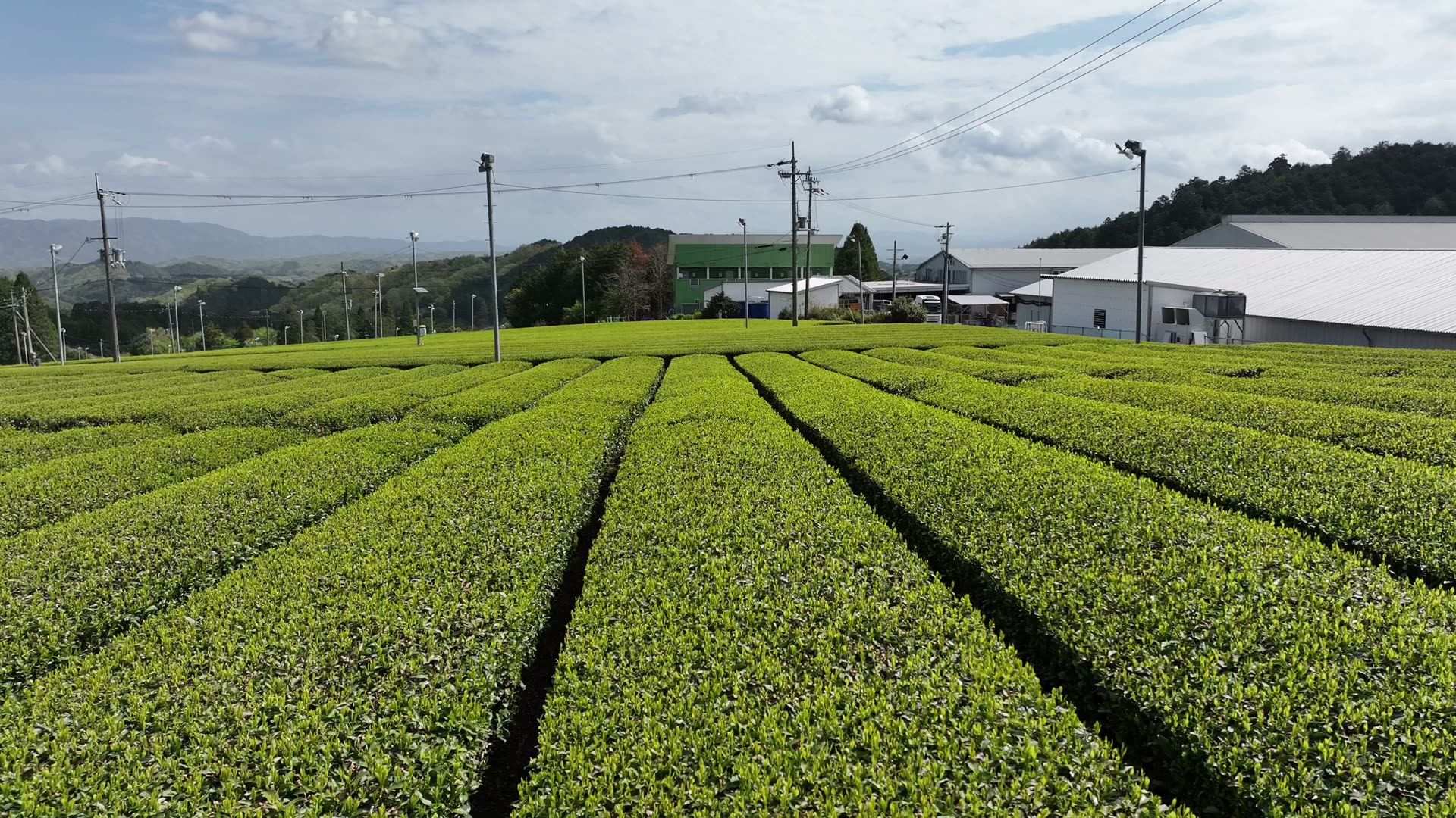 奈良県山添村の茶畑 — J1タケダファーム堆肥が支える耕畜連携の現場